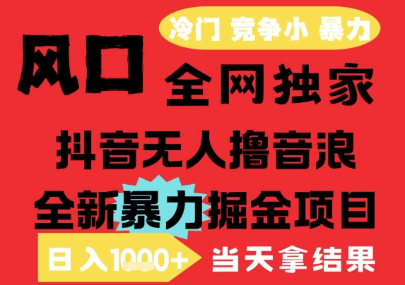 25年6月高爆抖音无人直播最新撸音浪掘金项目，解放双手小白可做，无脑日入1k+，门槛低_天恒副业网