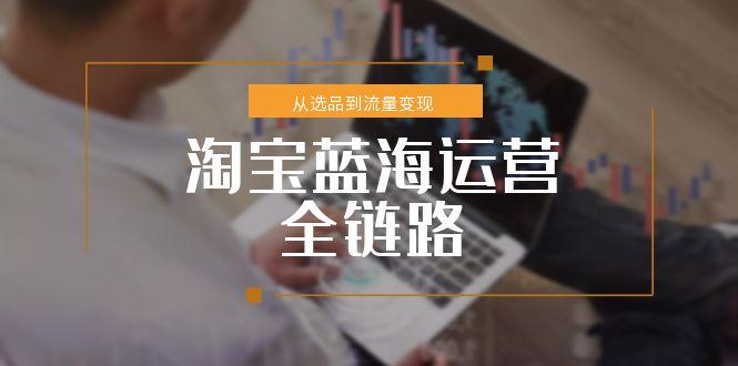 （15160期）淘宝蓝海运营全链路，从选品到流量变现，小类目突围完整方案_天恒副业网