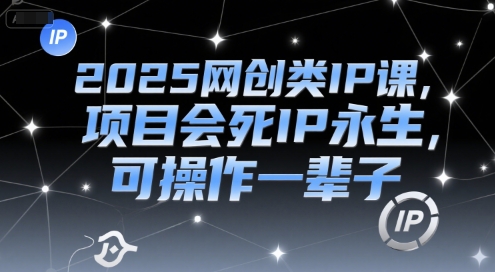 2025网创类IP课，项目会死IP永生，可操作一辈子_天恒副业网