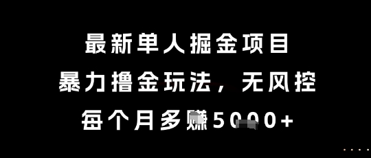 最新单人掘金项目，暴力撸金玩法，无风控，每个月多挣5k+_天恒副业网