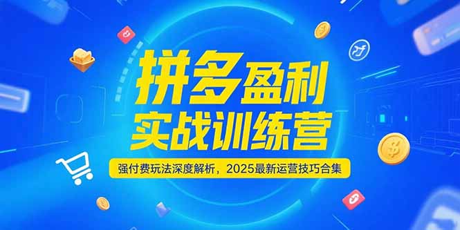 (15183期)拼多多盈利实战训练营,强付费玩法深度解析,2025最新运营技巧合集_天恒副业网