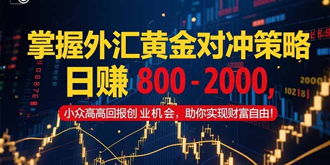 (15198期)掌握外汇黄金对冲策略,日赚800–2000,小众高回报创业机会,助你实…_天恒副业网