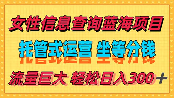 (15216期)稳定日入300+,小众女性信息查询蓝海项目,全程懒人式托管,解放你的…_天恒副业网