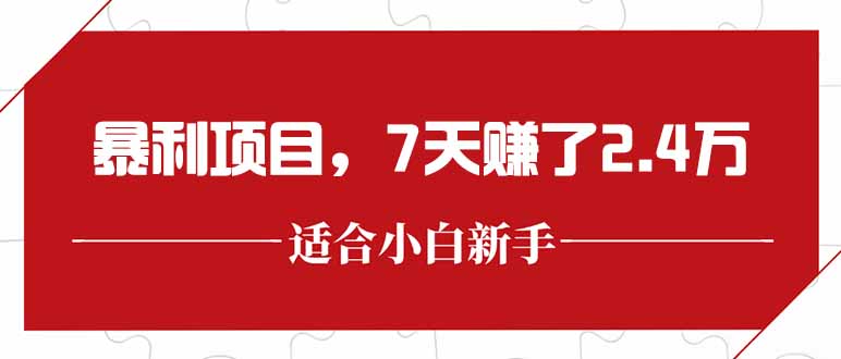 (15228期)最新暴利项目,每单收益轻松在300以上,7天赚了2.4万_天恒副业网