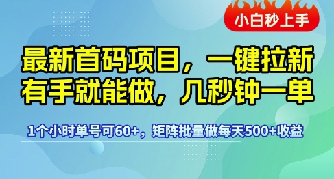 最新首码项目,一键拉新有手就能做,几秒钟一单,1个小时单号可60+,矩阵批量做每天5张_天恒副业网