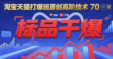 淘宝天猫打爆班原创高阶技术第70期：标品干爆_天恒副业网