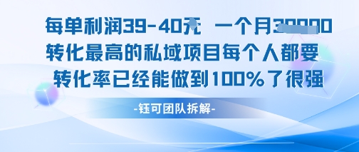 每单利润40一个月7k+转化最高的私域项目,每个人都要的产品转化率已经能做到100%_天恒副业网