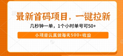 最新首码项目，操作最简单，收益高，一键拉新，1个小时单号可50+，小项目认真做每天5张+收益_天恒副业网
