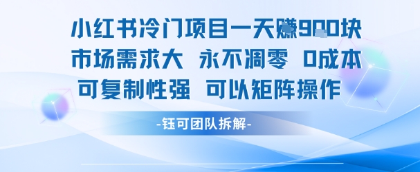 小红书冷门项目一天收益9张，市场需求大，0成本，可复制性强可以矩阵操作_天恒副业网