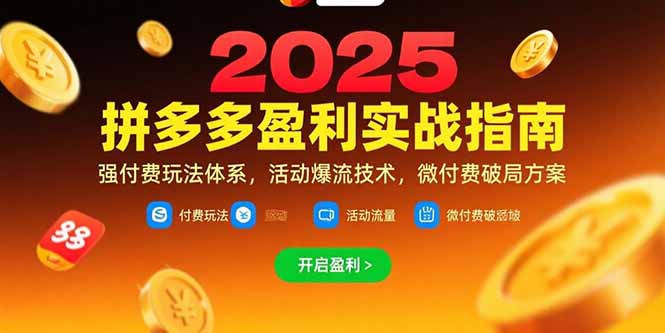 (15357期)拼多多盈利实战指南,强付费玩法,活动爆流技术,微付费破局方案(更新7月)_天恒副业网