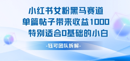 小红书女粉黑马赛道单篇帖子带来收益1k+,特别适合0基础的小白_天恒副业网