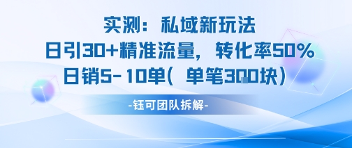 实测私域新玩法日引30加精准流量转化率50%日销5-10单每笔3张_天恒副业网