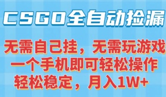 CSGO自动捡漏项目，最新独家玩法，一个手机可操作，新手小白轻松月入1W+，操作简单易上手_天恒副业网