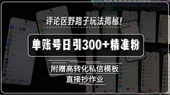 (15466期)评论区野路子玩法揭秘!单账号日引300+精准粉,附赠高转化私信模板,直…_天恒副业网
