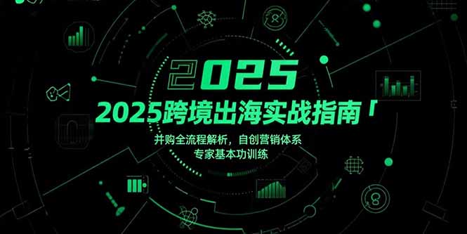 2025跨境出海实战指南,并购全流程解析,自创营销体系,专家基本功训练_天恒副业网