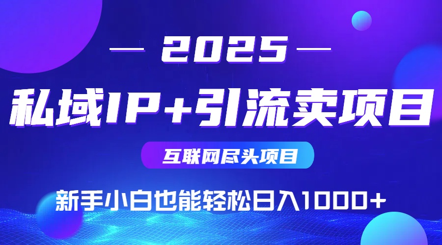 (15531期)2025网创尽头项目,私域IP+引流,新手小白也能在家日入1000+_天恒副业网