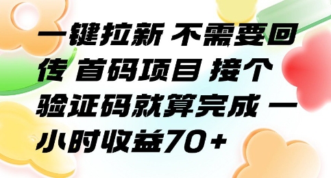 一键拉新不需要回传首码项目接个验证码就算完成一小时收益70+_天恒副业网