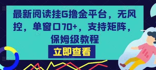 最新阅读挂G撸金平台,无风控,单窗口70+,支持矩阵,保姆级教程_天恒副业网