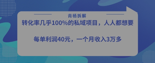 转化率最高的私域项目，每单利润40-50米，月入过1w_天恒副业网