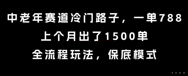 中老年赛道冷门路子，一单788，上个月出了1500单，全流程玩法，保底模式_天恒副业网