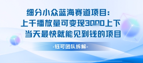小众蓝海赛道项目:当天变现1k+适合新手操作+适合长期玩_天恒副业网