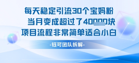 每天稳定引流30个人当月变成超过了4个W项目流程非常简单适合小白_天恒副业网