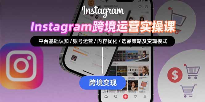 Instagram跨境运营实战：平台认知/账号运营/内容优化/选品策略及变现模式_天恒副业网