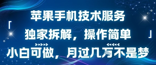 苹果手机技术服务,独家拆解,操作简单,小白可做,月过1W不是梦_天恒副业网