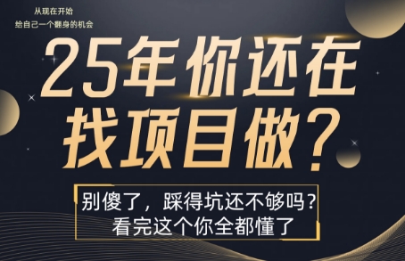 25年，你还在疯狂的找项目吗？别傻了，看完这个你都懂了_天恒副业网