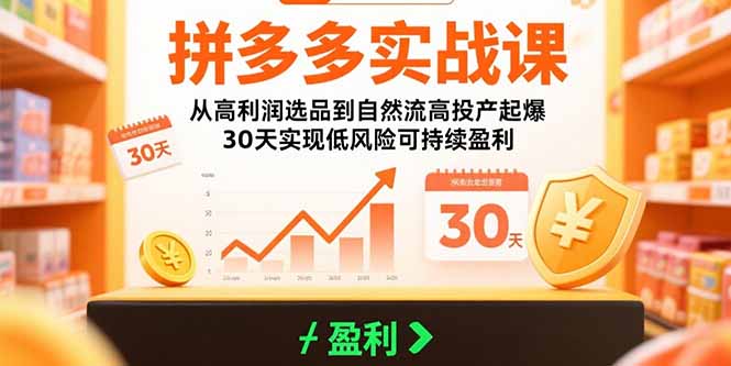 (15586期)拼多多实战课:从高利润选品到自然流高投产起爆30天实现低风险可持续盈利_天恒副业网
