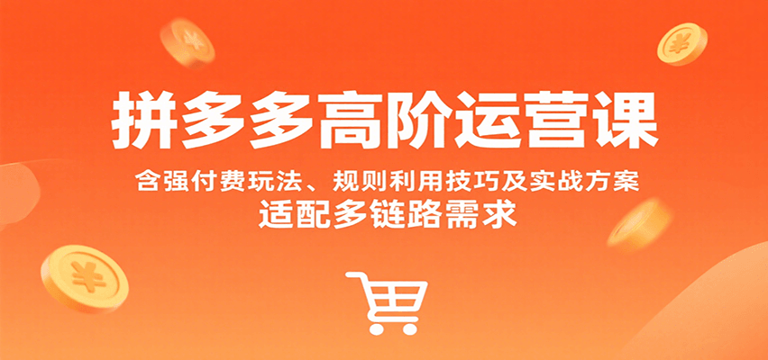 拼多多高阶运营课，含强付费玩法、规则利用技巧及实战方案，适配多链路需求_天恒副业网