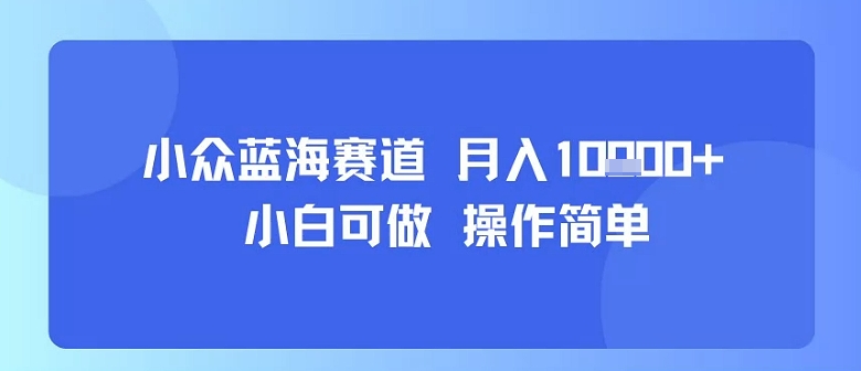 小众蓝海赛道，小白可做，操作简单，每天30分钟，月入1W+_天恒副业网
