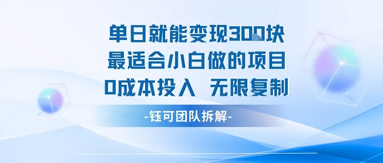 单日就能变现3张最适合小白做的项目0成本投入无限复制_天恒副业网
