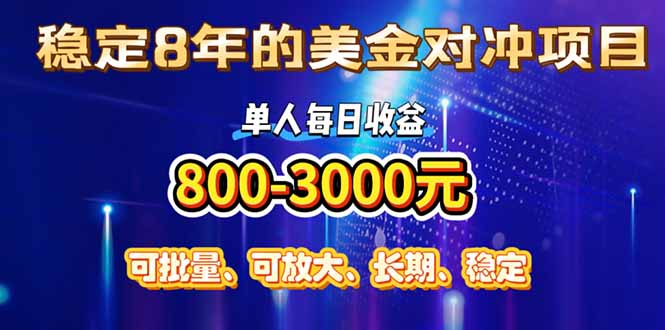 （15782期）稳定8年的美金对冲创业项目，单人每日收益800-3000，小众暴力项目_天恒副业网