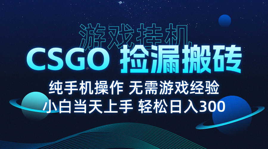 (15820期)8月最新游戏搬砖,CSGO纯挂机,不需要玩游戏,实现真挂机,月入1W+_天恒副业网