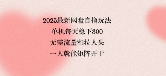 2025最新网盘自撸玩法,单机每天稳下3张,无需流量和拉人头,一个人就可轻松矩阵,全网独一份_天恒副业网