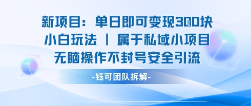 新项目单日即可变现3张的小白玩法无脑操作不封号安全引流_天恒副业网