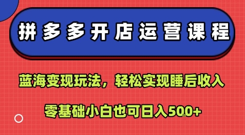 拼多多开店运营课程:蓝海变现玩法,轻松实现睡后收入,零基础小白也可日入5张_天恒副业网