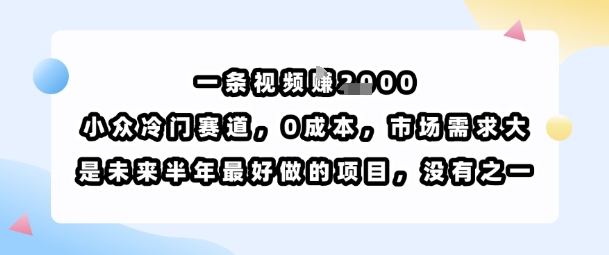 一条视频挣1k,小众冷门赛道,0成本,市场需求大,是未来半年最好做的项目,没有之一_天恒副业网