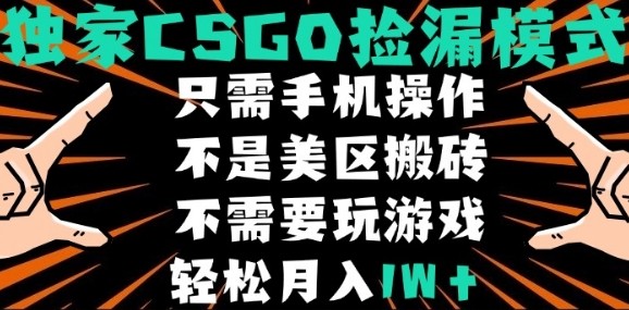 CSGO自动捡漏项目,最新独家玩法,不是美区搬砖,不需要了解和玩游戏,新手小白轻松月入1W+_天恒副业网