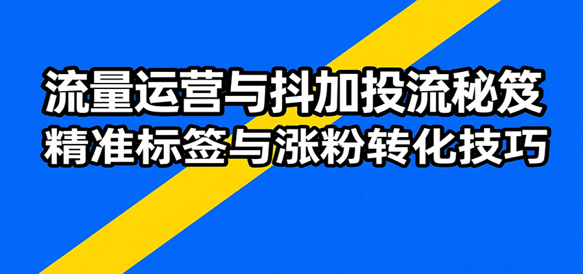 流量运营与抖加投流秘笈，含算法解析、爆款打造、精准标签与涨粉转化技巧_天恒副业网