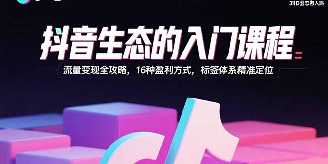 (15856期)抖音生态的入门课程:流量变现全攻略,16种盈利方式,标签体系精准定位_天恒副业网