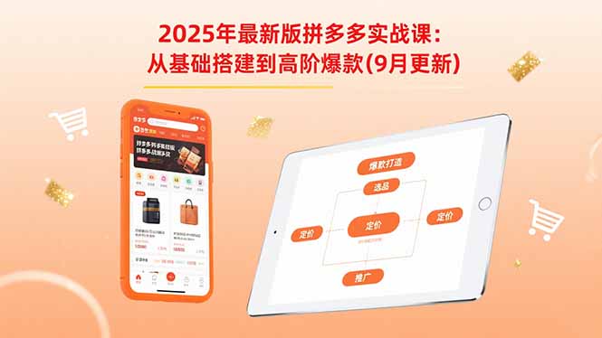 2025年最新版拼多多实战课:从基础搭建到高阶爆款(9月更新)_天恒副业网