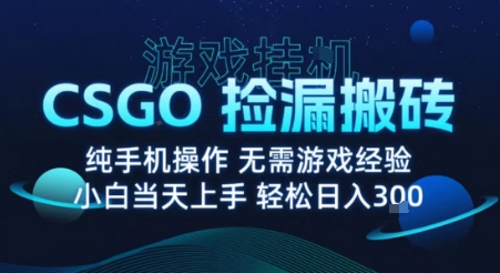 8月最新游戏搬砖,CSGO纯挂G,不需要玩游戏,实现真挂G,月入1W+_天恒副业网