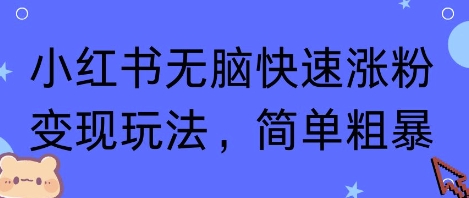 小红书无脑快速涨粉变现玩法,简单粗暴_天恒副业网