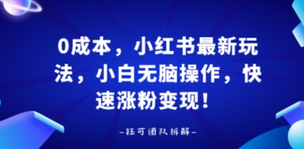 0成本，小红书最新玩法，小白无脑操作，快速涨粉变现_天恒副业网