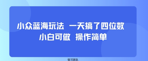 小众蓝海玩法一天搞了四位数小白可做操作简单_天恒副业网