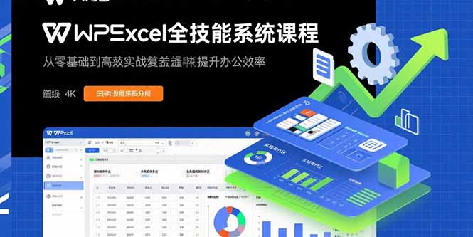 (15873期)WPSExcel全技能系统课程:从零基础到高阶实战全覆盖,全面提升办公效率_天恒副业网