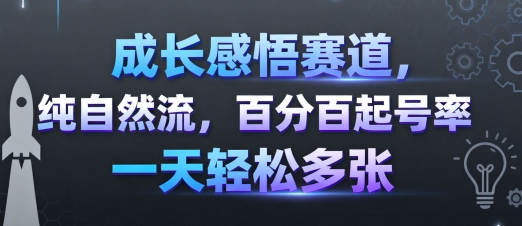 成长感悟赛道,纯自然流,百分百起号率一天轻松多张_天恒副业网
