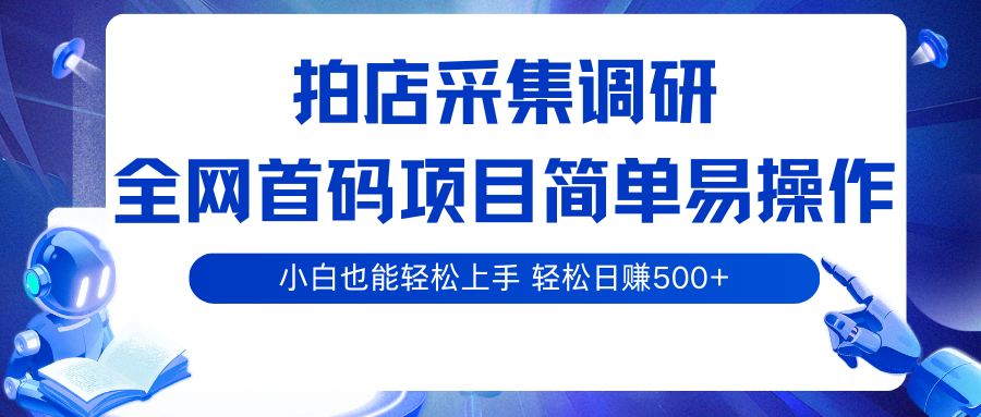 拍店采集调研,全网首码项目,简单易操作,小白也能轻松上手,轻松日赚500+_天恒副业网
